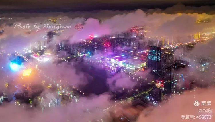 故意杀人罪、放火罪、爆炸罪,这三个罪哪个最重呢?——助你一站式获取最新资讯与热门话题