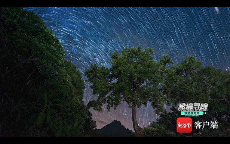 发掘知识星球平台,探索无限智慧!